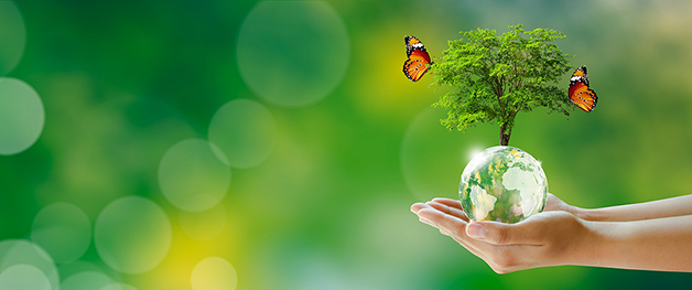 article_neter_24102024